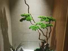-上鸿汤泉•易营+