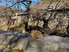 -水峪民俗村