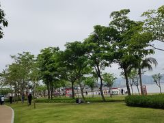 -野狸岛