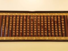 -美联众合动物医院·24h转诊中心