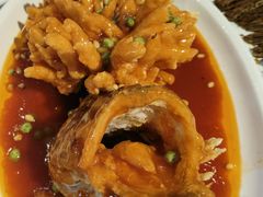 松鼠桂鱼-峨嵋酒家总店(车公庄店)