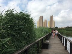 -前关湿地公园