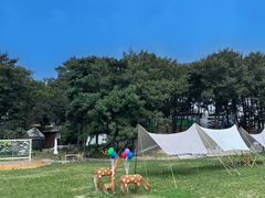 -沂蒙山旅游区云蒙景区(蒙山国家森林公园)