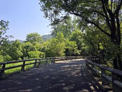 -西湖风景区-江洋畈生态公园