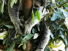 -费瑟代尔野生动物园