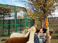 -太阳岛度假酒店