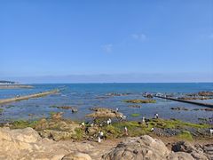 -青岛第二海水浴场