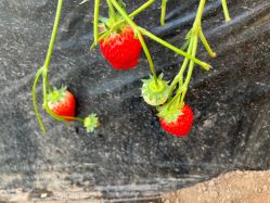 -Oasis Beauty水磨坊科技美肤中心