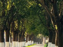 -上膳源有机农场