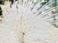 -常州淹城野生动物世界