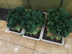 -北塘海鲜·天津菜(大光明桥旗舰店)