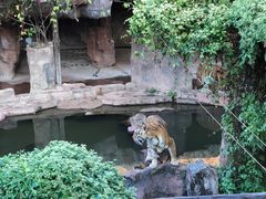 -长鹿旅游休博园