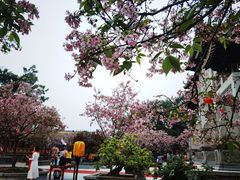 -宝墨园景区