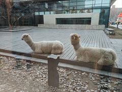 -廊坊固安福朋喜来登酒店