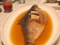 -蝶园·装修中(BFC外滩金融中心店)