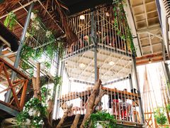 -Rainforest