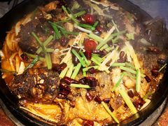 -老板恋上鱼(恒隆广场店)