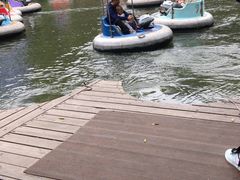 -杭州少年儿童公园