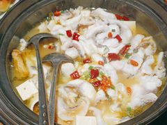 -越城记黑鱼煲(福侨大厦店)