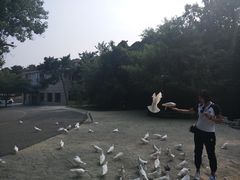 -燕塞湖鸟语林景区