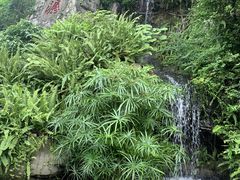 -广州市白云山风景名胜区