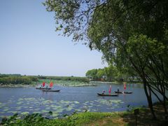 -洪湖生态旅游区