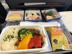 -全日本空输株式会社(上海办事处)