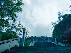 -铁山坪森林公园