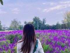 -汉长安城未央宫国家考古遗址公园