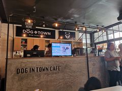 -Dog in Town Ekkamai