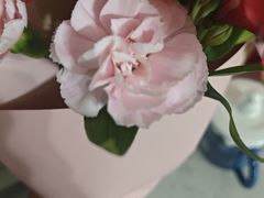 -何兮花店·气球派对鲜花店(马桥银春路万科城店)