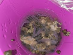 -青岛第三海水浴场