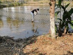 -湖南湘都生态农业园