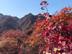 -水峪民俗村