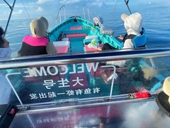 -盐洲岛