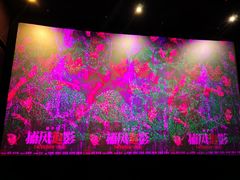 -武汉华夏国际影城(鲁广店)