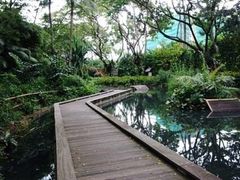-新加坡飞禽公园