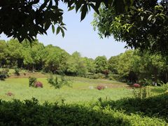 -邓小平故里
