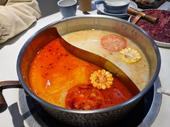 -濠七糟粕醋•海南酸汤火锅(中关村店)