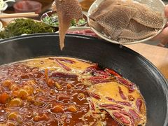 -阳阳老火锅(小南门店)