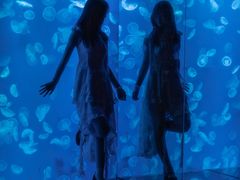 -江和美海洋公园