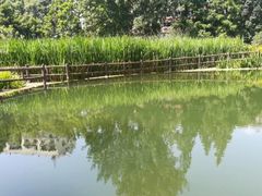 -成都市活水公园