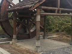 -同里国家湿地公园