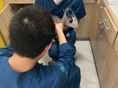 -瑞派·爱瑞可动物医院·口腔专科(广华新城分院)