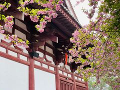 -西安青龙寺遗址景区