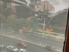 -王家渡火锅店(棕榈泉店)