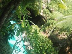 -三亚湾红树林度假世界(木棉酒店)