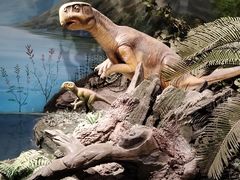 -辽宁古生物博物馆