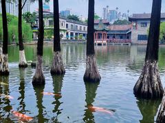 -东莞市可园博物馆