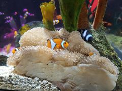 -沈阳海洋探索中心